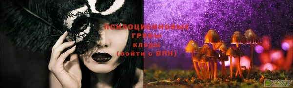 ПСИЛОЦИБИНОВЫЕ ГРИБЫ Магадан