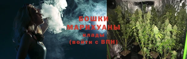 спиды Магас