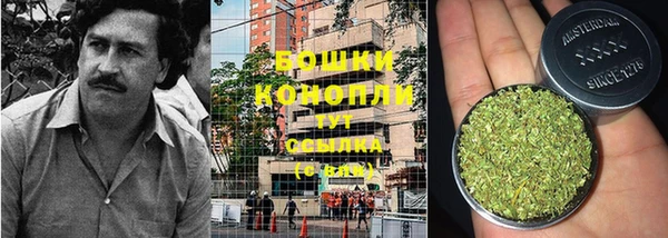 ПСИЛОЦИБИНОВЫЕ ГРИБЫ Магадан