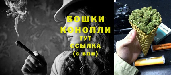 спиды Магас