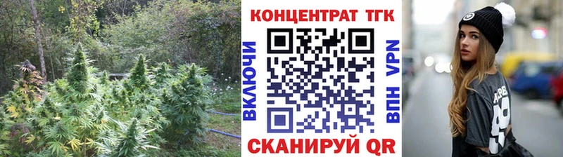 ТГК концентрат Саратов
