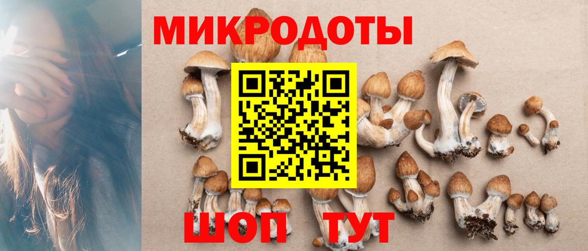 Галлюциногенные грибы мухоморы Саратов
